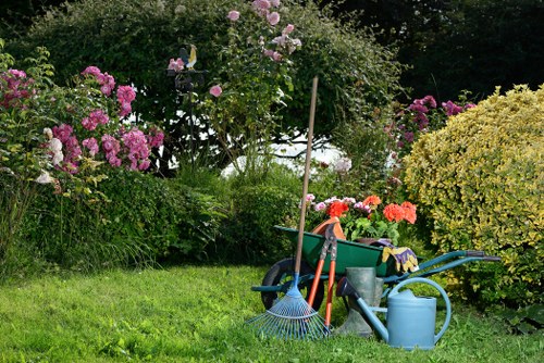 Variety of hedges maintained in Haringey garden