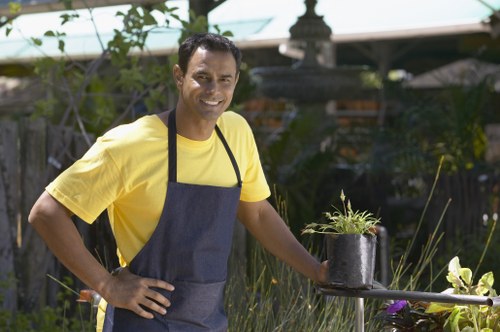 Choosing a reliable tree service provider in Haringey
