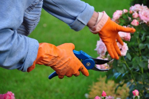 Professional garden clearance team at work