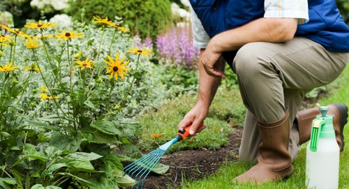 Seasonal garden clean-up in Haringey