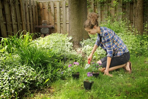 Understanding local tree removal regulations